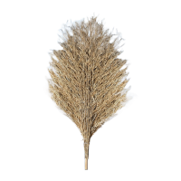 鸣固 大号竹扫帚 大笤帚 大号竹扫把 环卫清洁扫把 竹编室外院子扫把 无叶竹杆4斤金枝大扫帚ZJ3394KW943564