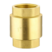 鸣固 ZL1094 黄铜止回阀 黄铜单向阀弹簧逆止阀 双内丝黄铜立式止回阀 7101 DN20