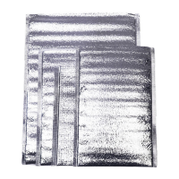 鸣固 铝箔包装袋 食品生鲜保鲜袋 加厚铝箔保温保冷袋 保温隔热袋 一次性隔热包 20*25cm(100个装)