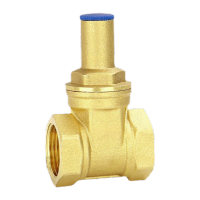 鸣固 ZL1051 黄铜三角锁闭闸阀 水务专用表前锁闭阀 加密闸阀 1106HDS DN25