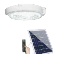 鸣固 ZP1399 太阳能灯庭院吸顶灯走廊过道阳台节能灯室内玄关卧室led照明灯 光控+智能遥控壁灯 300W