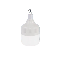 鸣固 usb充电灯泡户外夜市摆地摊灯高富帅家用停电led应急球泡灯 200W[低配版]120mm