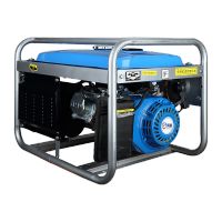 鸣固 3000W汽油发电机220v单相低噪小型发电机 3000W手启动+多燃料款 TS091147529