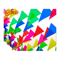 鸣固 小彩旗三角串旗 工地用警戒开业活动装扮吊旗可定制 大号白绳22*32cm 100米150面 KS413692