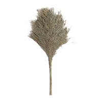 鸣固 大扫把 竹扫帚 扫地马路扫院子 道路清洁专用 高180cm*宽75cm 5斤带叶笤帚 一体式