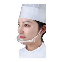 鸣固 透明厨房口罩 酒店餐饮口罩 防口水飞沫唾沫打饭口罩 厨师防油溅口罩 防雾口罩*50个装