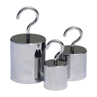 鸣固 MS1029苏测砝码 单钩砝码 牛顿力质砝码单钩镀铬砝码天平电子称砝码 10N