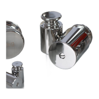 鸣固 砝码M1级 不锈钢标准砝码高精度校准天平砝码 M1级1g 2Cr13不锈钢 塑盒装