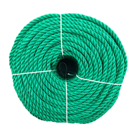 鸣固 尼龙绳 塑料绳 耐磨物流绳户外手工编织货车绿色绳子 10mm(100米/捆)