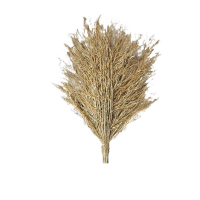 鸣固竹扫帚扫地马路扫院子大扫把道路清洁专用高220cm*宽70cm5斤脱叶笤帚竹杆把脱叶