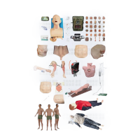 联想 ThinkStationPX 塔式旗舰工作站CPU:Intel xeon gold 5418Y