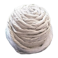 鸣固 石棉绳保温隔热耐高温石棉扭绳耐火密封石绵编织绳 无尘型25mm(1米)