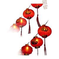 鸣固LED彩灯 虎年春节金福字流苏灯笼串灯 USB遥控款 直径8cm 10米80灯 ZL5413TS031722032