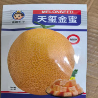 哈密瓜种子天玺金蜜1000粒