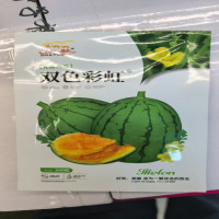西瓜种子黄瓤双色彩虹200粒