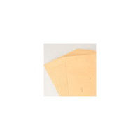 牛皮纸大信封 邮局标准信其色(DELI/得力/25201/信封/信纸) 信封