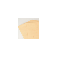 9号牛皮纸信封/工资袋票据收纳袋(得力/25201/信封/信纸)信封信封信封信封