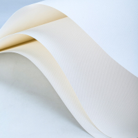 得力(deli)73616水粉纸 加厚160g美术绘画专用 画画纸 4K/20张[2本]复印纸