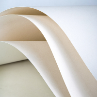 得力(deli)73608素描纸 110g素描本绘画纸彩铅画4K/20张[2本]复印纸