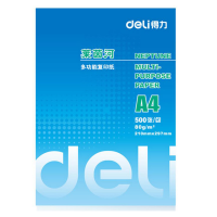 得力 7419 莱茵河 复印纸 A4 80g 500张/包,5包/箱 单位:箱 白