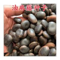 NHzhiw精选优质油麻藤种子1千克