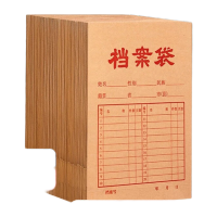 新绿天章T19574 牛皮纸档案袋 A4 175G 侧宽40mm 100个/包(包)