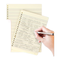 新绿天章T10568 A5 活页替芯20孔 8mm英语线 70g 60张/包