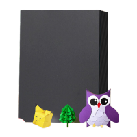 新绿天章P5210色卡纸A4/230g/黑色 100张/包(包)