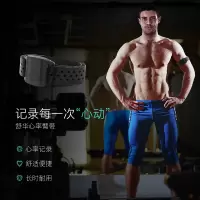 舒华跑步机心率带心率臂带心率控速运动装备无线蓝牙心率手环SH-Q205