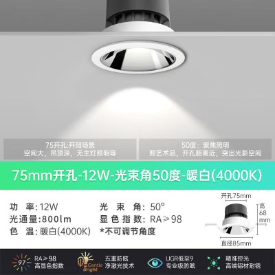 飞利浦(PHILIPS) 12W光束角50°开孔75mm-4000K LED全光谱护眼射灯 (计价单位:盏) 白色