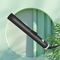 大嘴猴(paul frank) 丽人卷发棒 DZH-F07 F