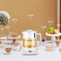 海牌 养生壶家用 白色 f