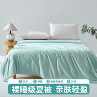 雅富仕家纺夏凉被空调被2025新款夏被可机洗水洗夏季单人薄被子 提花清新绿