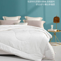 恒源祥HCSB02全棉A类抗菌小提花蚕丝被200*230cm