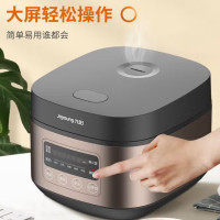 九阳电饭煲 F30FZ-F4170 f