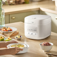 小熊电饭煲 电饭锅家用 4升大容量3-8人柴火饭多功能智能微快煮米饭锅 DFB-Q40E2容量 4L