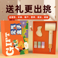 和正元气礼盒六 电动刮痧板高速吹风机 HZ-BOX-6