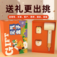 和正元气盒子精美礼盒 高速吹风机冲牙器 HZ-BOX-8