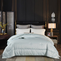 唐纳家纺臻品60德绒冬被-雅绿 200×230cm