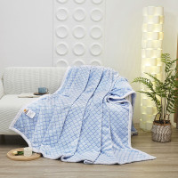 唐纳家纺金狐绒四季毯 天蓝 200*230CM