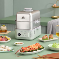 大宇(DAEWOO)12L家用多功能电蒸锅大容量双层不锈钢蒸炖可预约保温蒸锅 DYZG-1568 莫兰迪绿