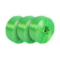 苏识 HC0001塑料打包捆扎绳 2.5kg 宽4cm 绿色(单位:卷)