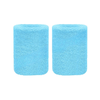 苏识 运动吸汗护腕 SS-XK-HW012 均码 天蓝色 8×8cm 2个 副