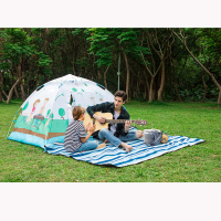 维仕蓝(wissBlue) 乐玩亲子双层帐篷 WR6039 帐篷野外野营露营 单个装