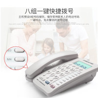 中诺(CHINO-E) 电话机 数字无绳子母机电话机座机快捷拨号内部对讲可扩展至4子机白色 H801 jh
