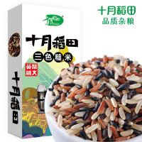 十月稻田 轻食三色糙米 480g (黑米 红米 糙米 杂粮 粗粮 大米伴侣 )