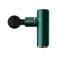 SKG(SKG) F3EN筋膜枪