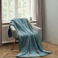 路易卡罗(Louiskellog) 毯子-LK-4303-叶绿素抗菌纤维毯