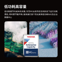 东芝(TOSHIBA) 10T(MG06SCA10TE) 移动硬盘