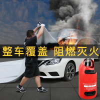 龙雹(LONG BAO) 玻璃纤维灭火毯6米*8米(适用轿车SUV)
